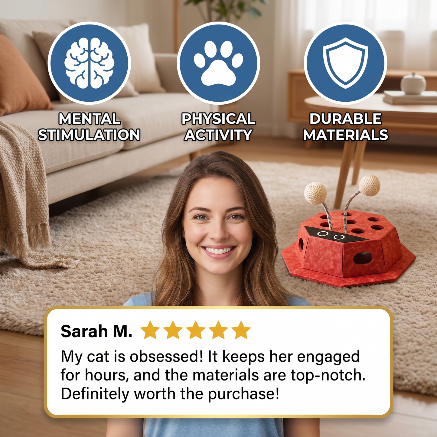 3in1 Interactive Ladybug Cat Puzzle Toy