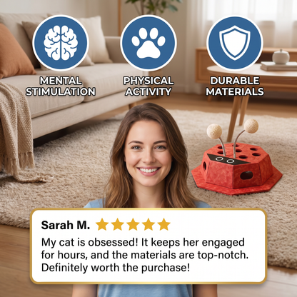 3in1 Interactive Ladybug Cat Puzzle Toy