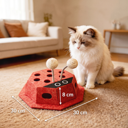 3in1 Interactive Ladybug Cat Puzzle Toy