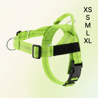 Personalized Reflective No-Pull Dog Harness with Custom Name Patch