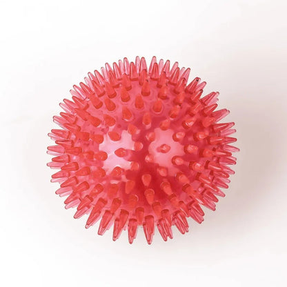 Chewing Toy Spike Balls Accessories
