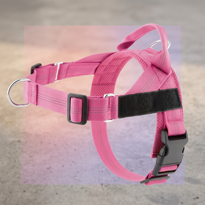 Personalized Reflective No-Pull Dog Harness with Custom Name Patch