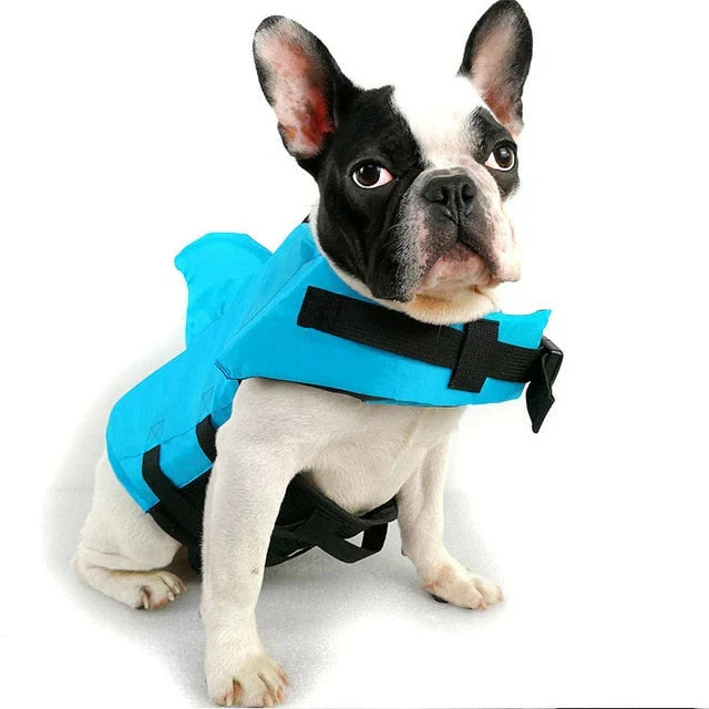 Safe Swimming Fun for Your Dog – SwimBuddy Life Jacket