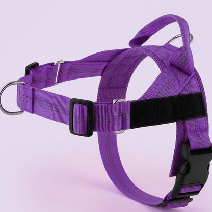 Personalized Reflective No-Pull Dog Harness with Custom Name Patch