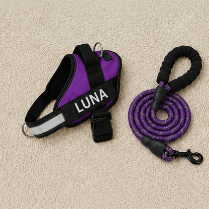 Personalized No-Pull Dog Harness with Front D-Ring – Designed for Neck & Shoulder Relief