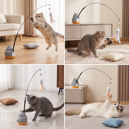 360° Interactive Self-Play Cat Teaser