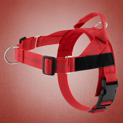 Personalized Reflective No-Pull Dog Harness with Custom Name Patch