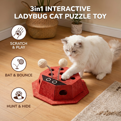 3in1 Interactive Ladybug Cat Puzzle Toy