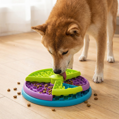 Engagement Feeding Bowl with Different Levels