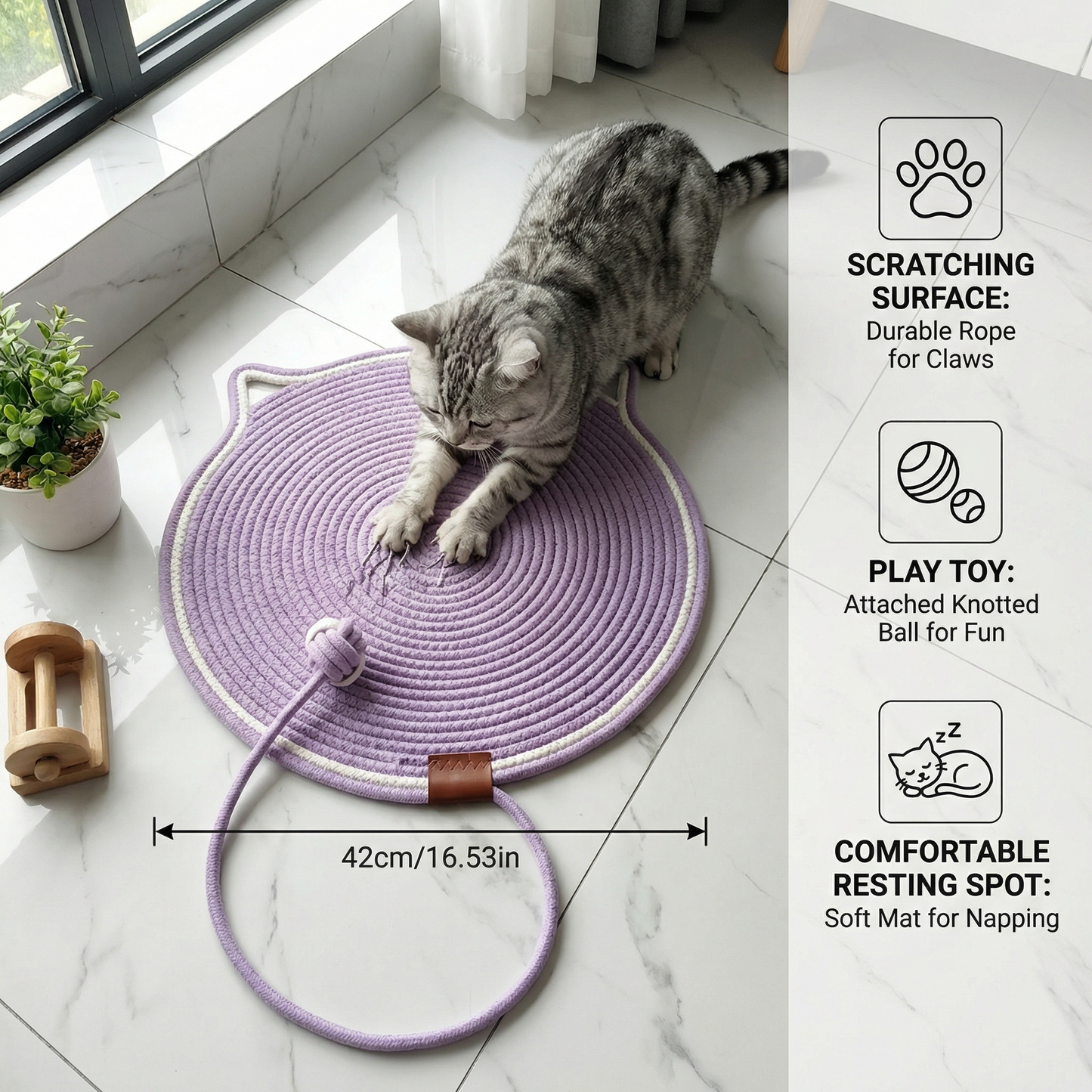 Cat Scratching Toy Carpet
