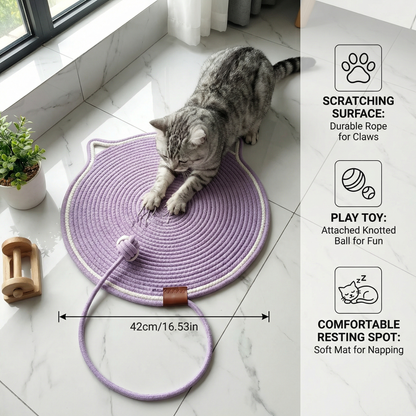 Cat Scratching Toy Carpet