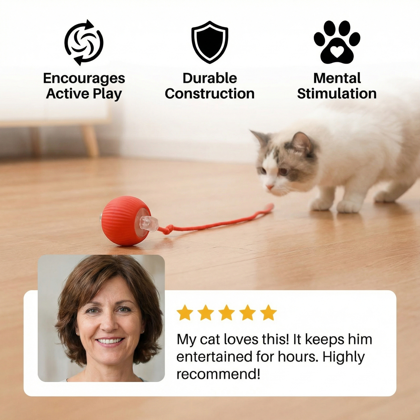 Active Rolling Ball with Tail for Cats