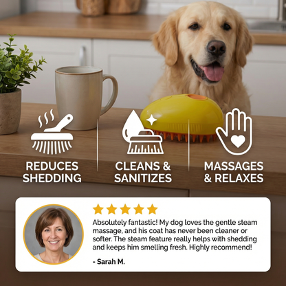 Steam Brush For Pets