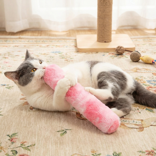 Catnip Cushion Toy