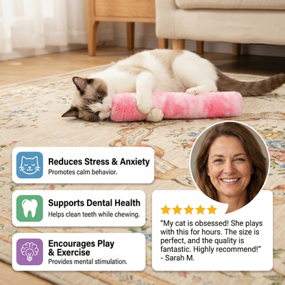Catnip Cushion Toy