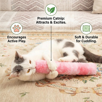 Catnip Cushion Toy