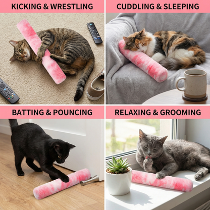 Catnip Cushion Toy