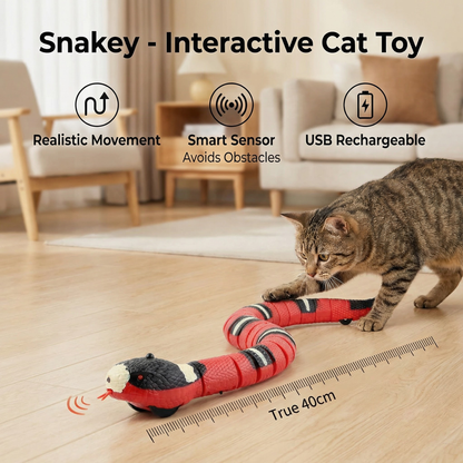 Snakey - Interactive Cat Toy