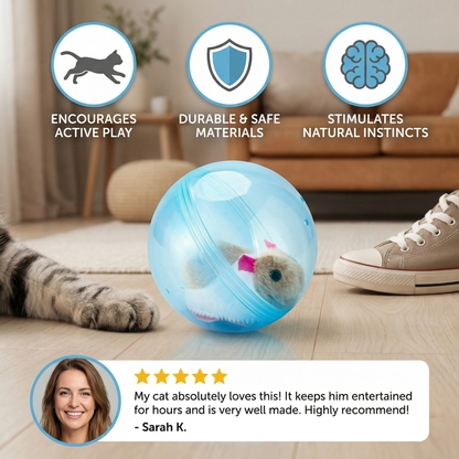 Rolling Hamster - Active Ball
