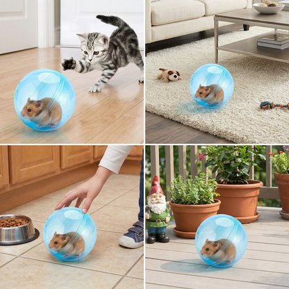 Rolling Hamster - Active Ball