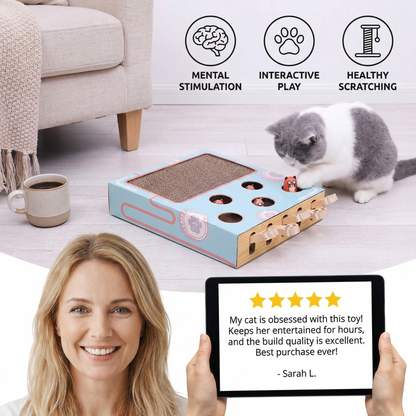 Peek-a-Boo Mulitbox Cat Toy