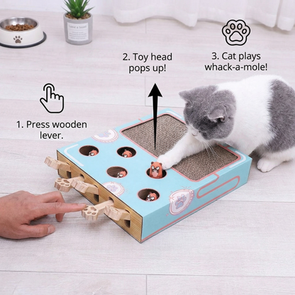 Peek-a-Boo Mulitbox Cat Toy
