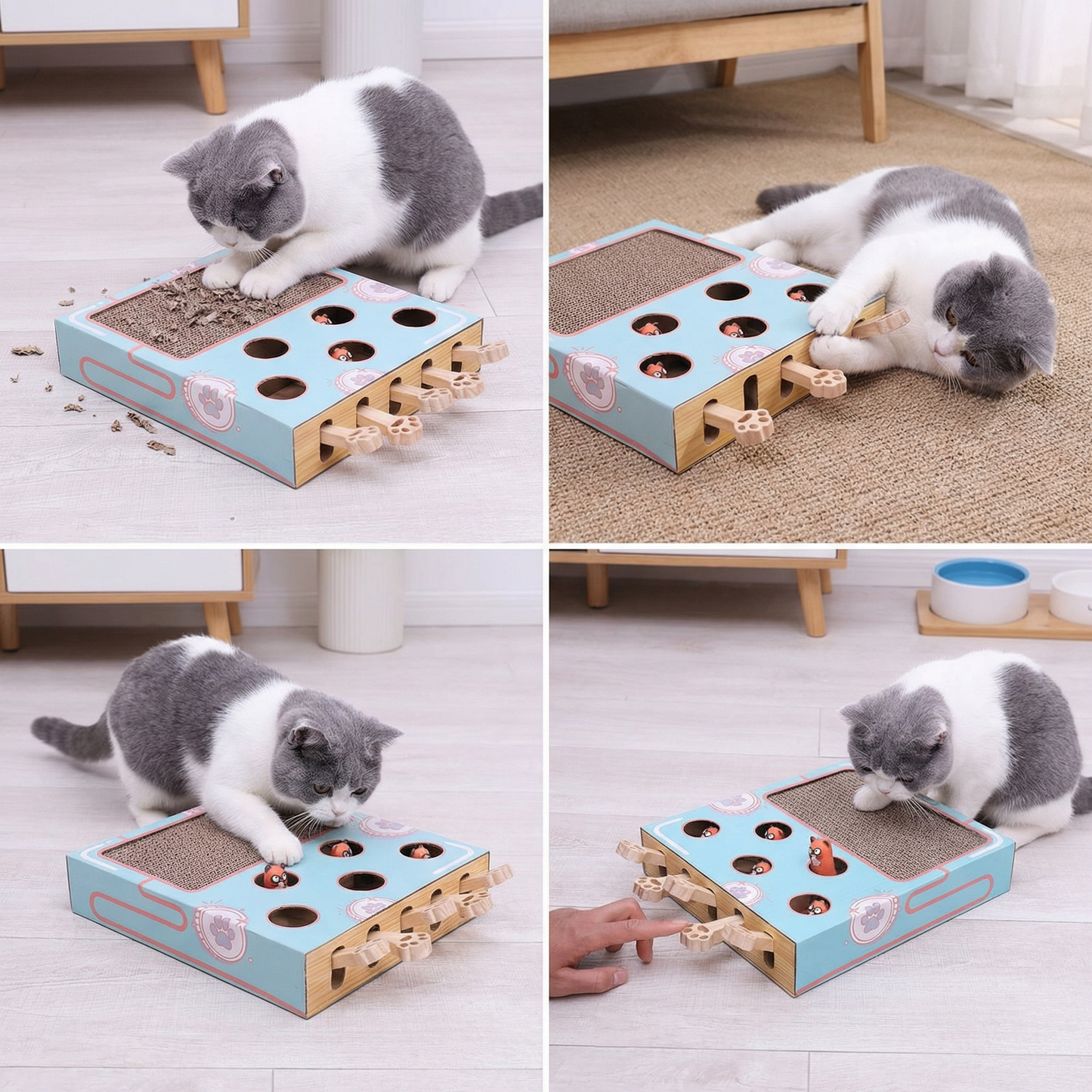 Peek-a-Boo Mulitbox Cat Toy