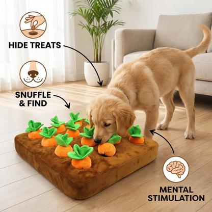 CarrotFarm - Dog Toy