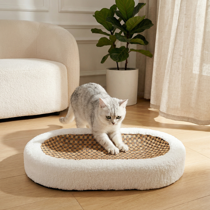 Luxury Scratch - Cat Bed