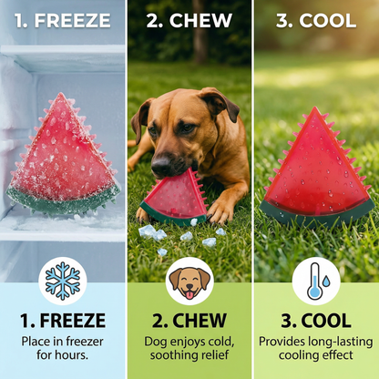 Cooling Fruit dog chew toy