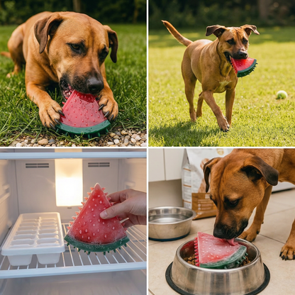 Cooling Fruit dog chew toy