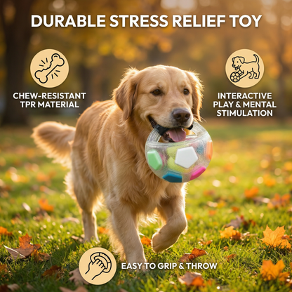 Durable toy ball for stress relief for dogs
