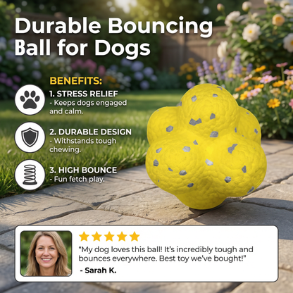 Durable bouncing ball for dogs to relieve stress in Dog Colours