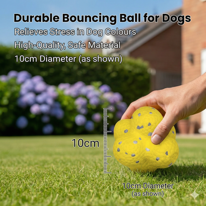 Durable bouncing ball for dogs to relieve stress in Dog Colours