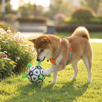 Robust dog toy ball with pull handles