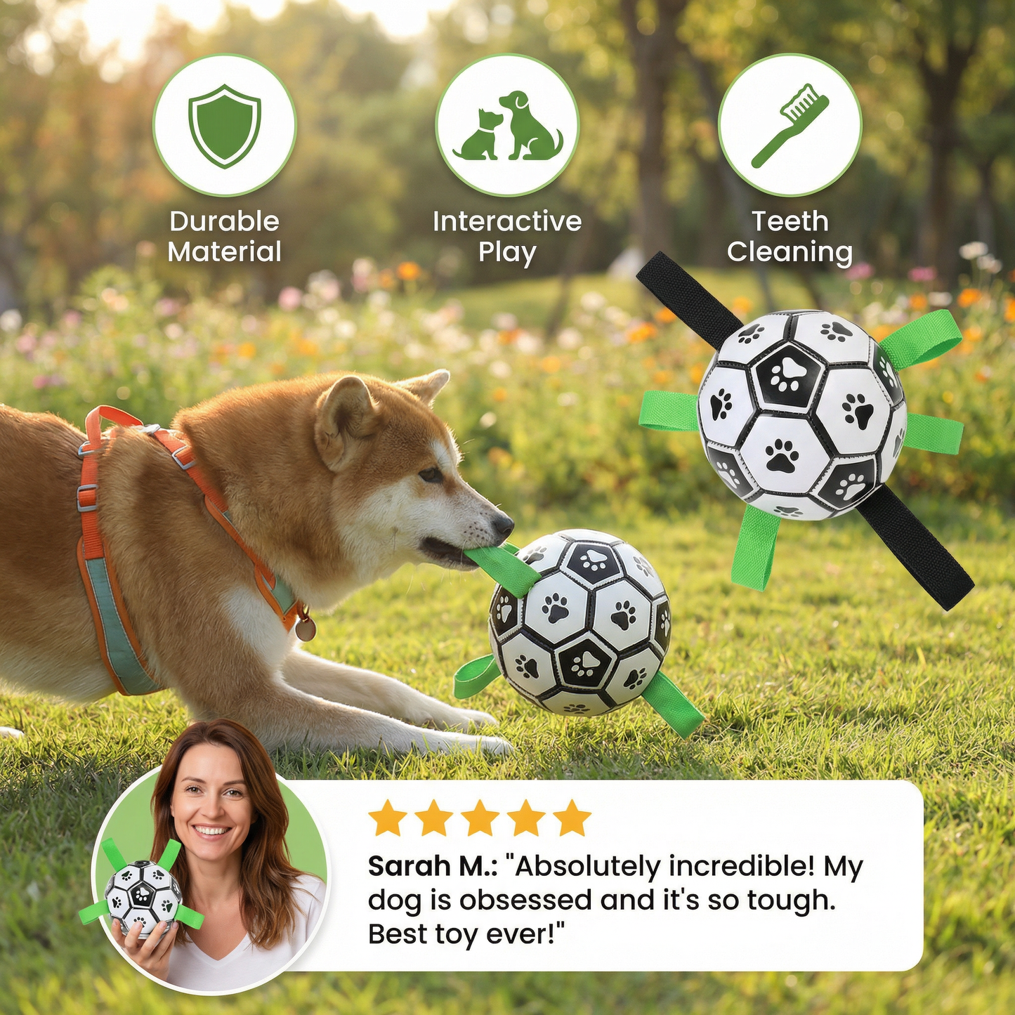 Robust dog toy ball with pull handles