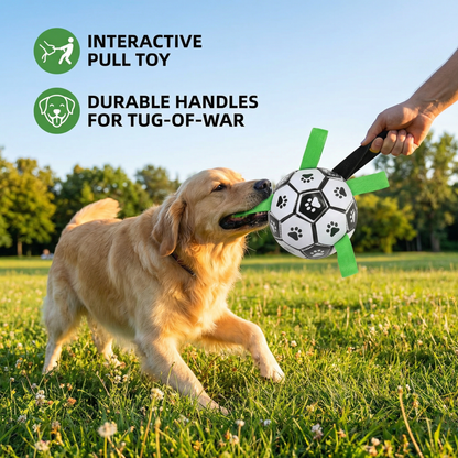 Robust dog toy ball with pull handles