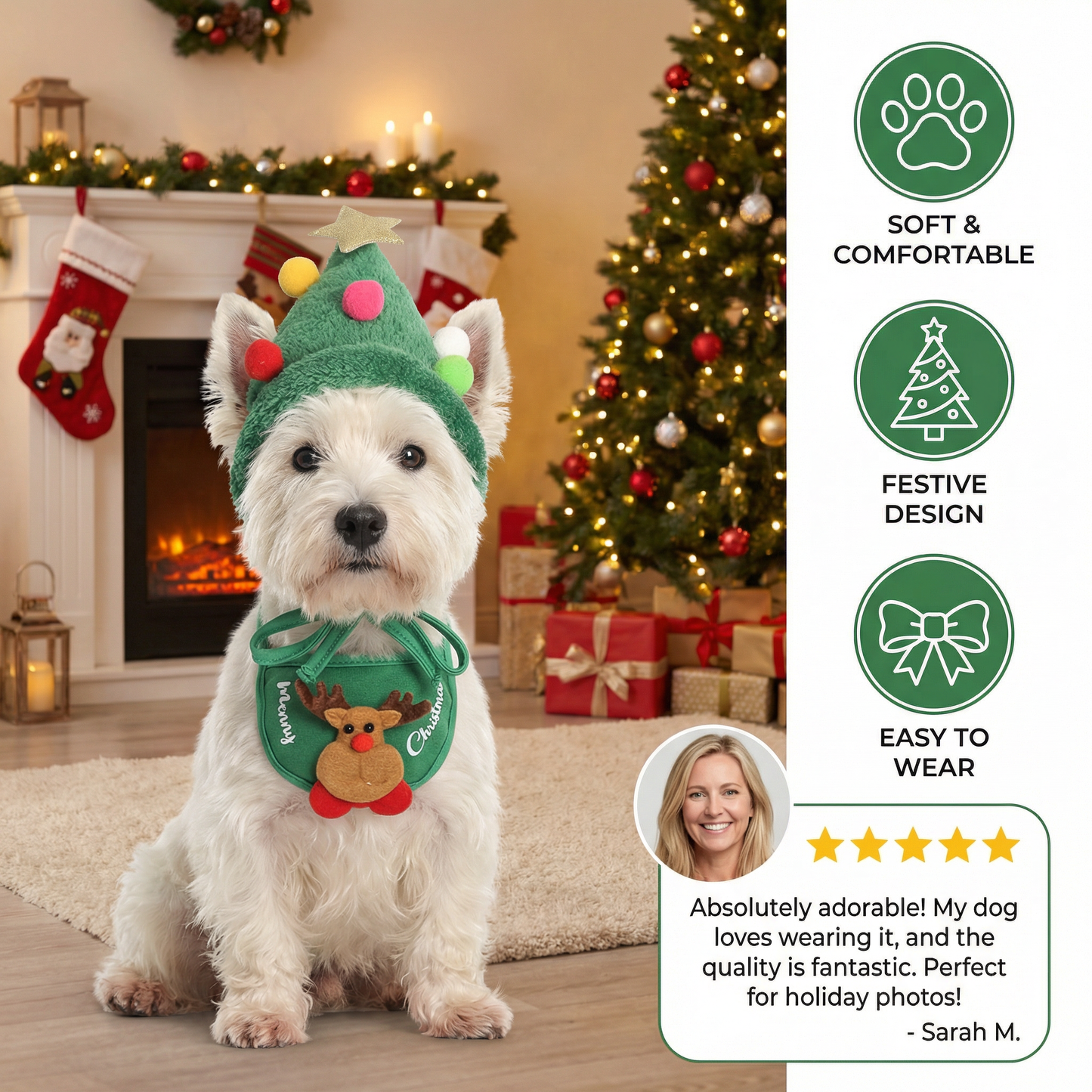 Christmas outfits for dogs