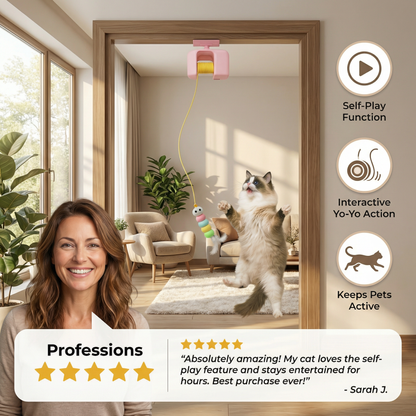 Interactive door yo-yo cat toy with self-play function