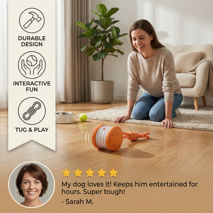 Interactive & Durable Dog Ball – Motion Toy with Tug Rope in Dog Colours