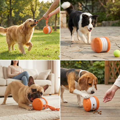 Interactive & Durable Dog Ball – Motion Toy with Tug Rope in Dog Colours