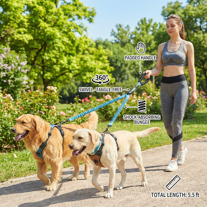 2-in-1 Double Dog Leash with 360° Swivel – Tangle-Free & Shock-Absorbing