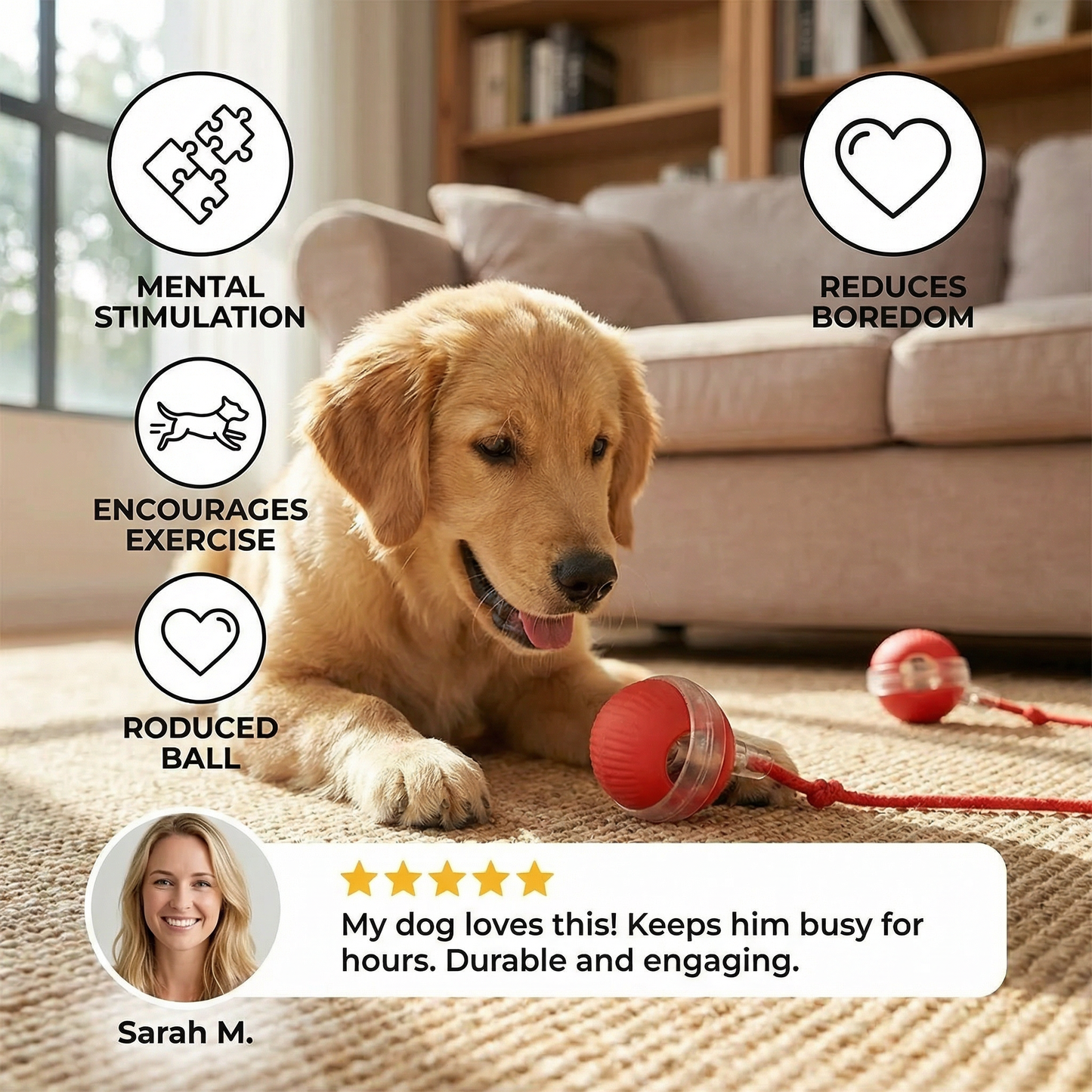 Active Rolling Ball with Tail for Dogs