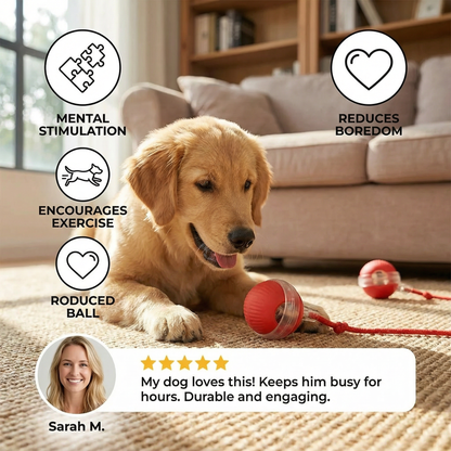 Active Rolling Ball with Tail for Dogs