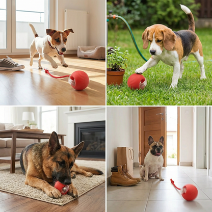 Active Rolling Ball with Tail for Dogs