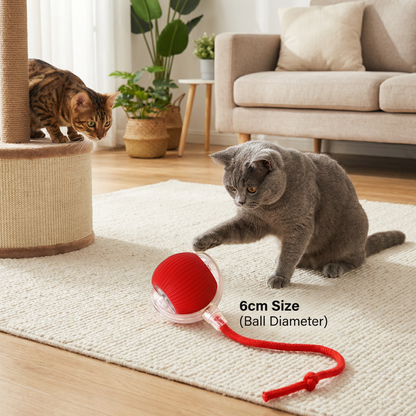 Active Rolling Ball with Tail for Cats