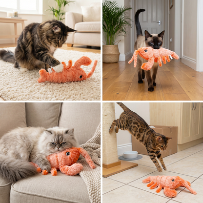 Wiggly Lobster - Interactive Cat Toy