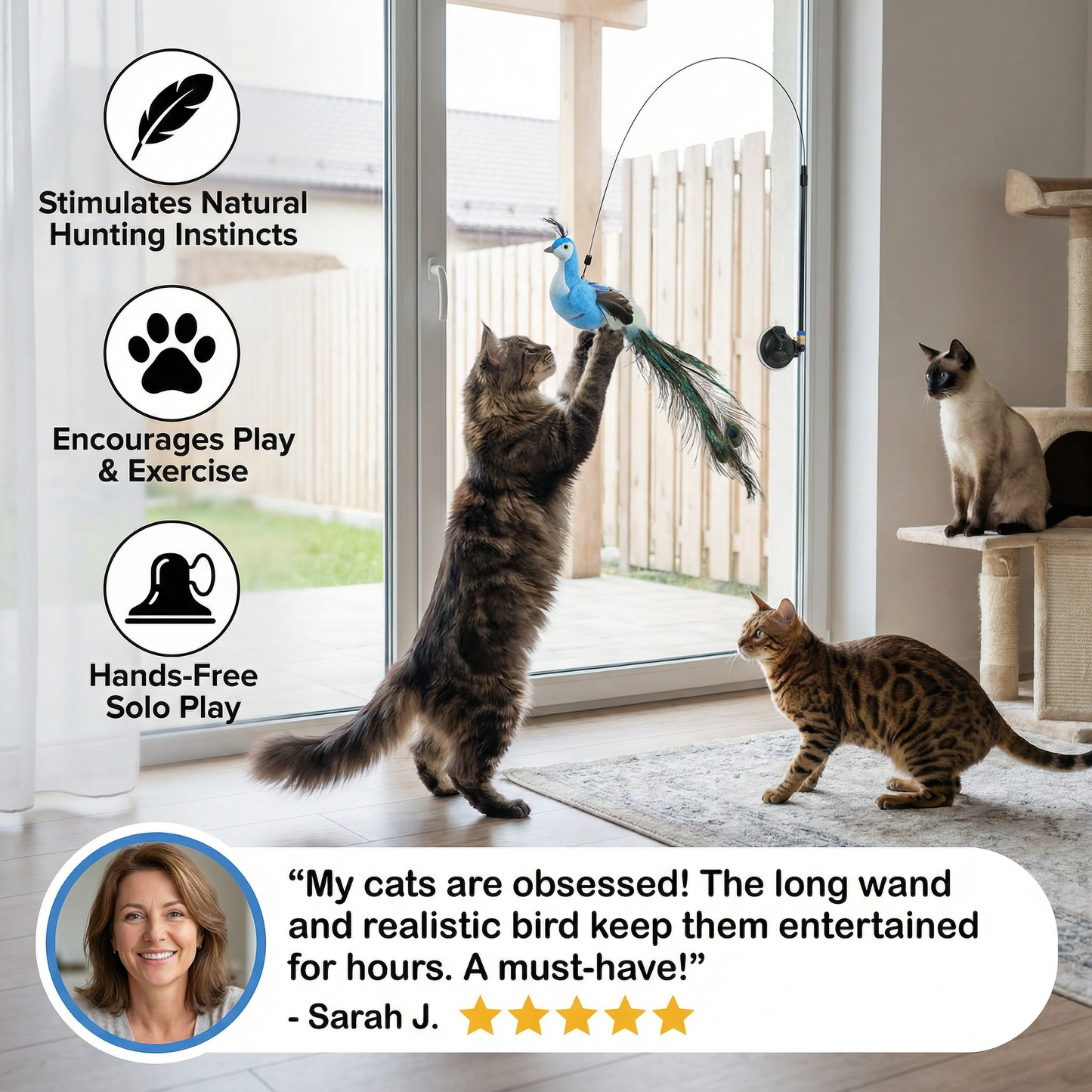 Bird Toy for Cats