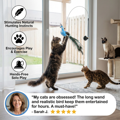 Bird Toy for Cats