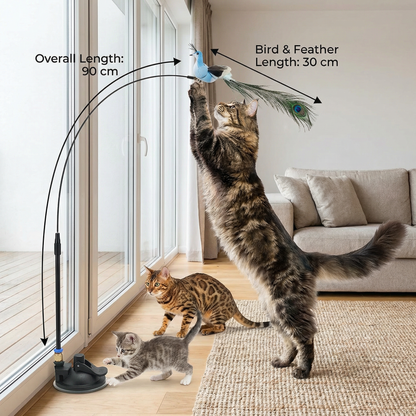 Bird Toy for Cats